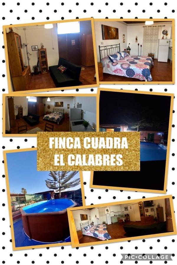 La Cuadra Finca El Calabres Агуимес Экстерьер фото
